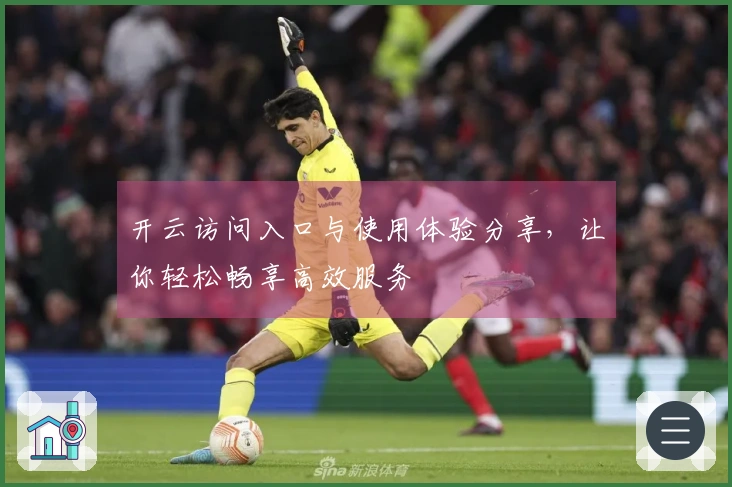 开云访问入口与使用体验分享，让你轻松畅享高效服务