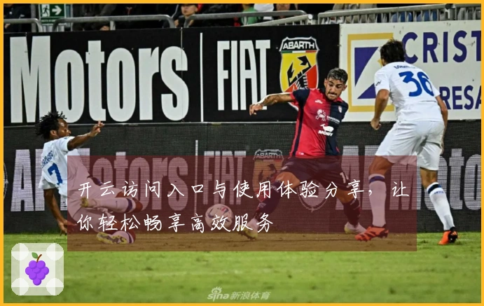 开云访问入口与使用体验分享，让你轻松畅享高效服务