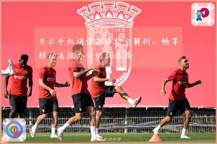 开云手机端使用体验全解析，畅享移动高效办公的新选择