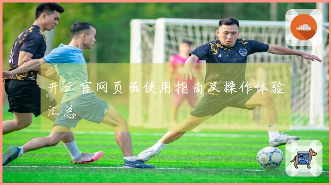 开云官网页面使用指南及操作体验汇总